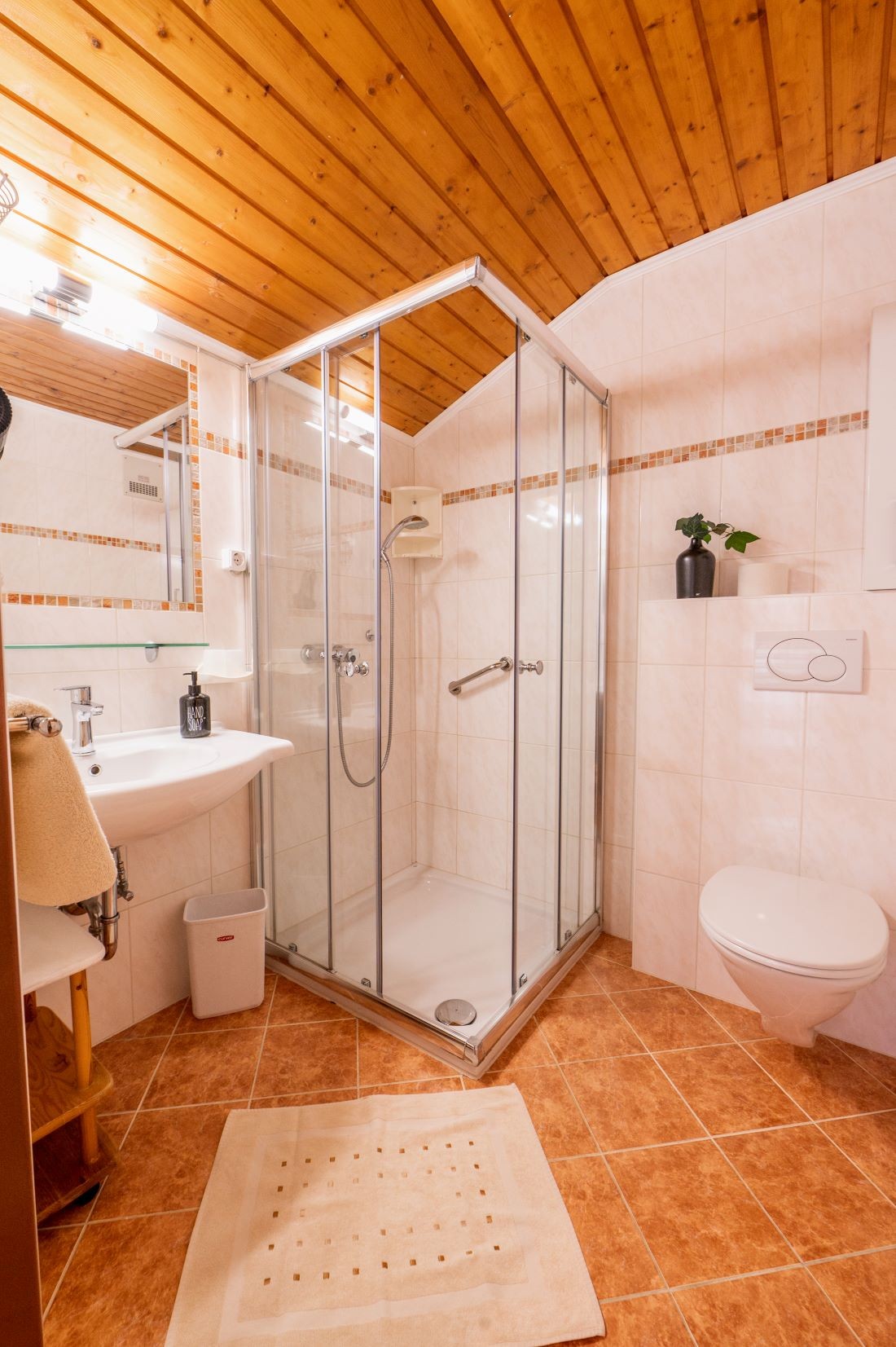 Badezimmer mit Dusche und WC