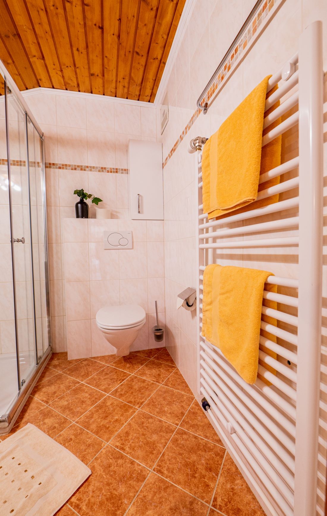 Badezimmer mit Dusche und WC und Handtuchwärmer